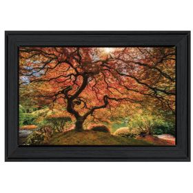 "First Colors of Fall I" by Moises Levy, Ready to Hang Framed Print, Black Frame