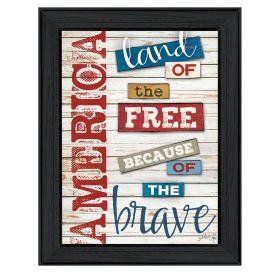 "America - Land of the Free" By Marla Rae, Printed Wall Art, Ready To Hang Framed Poster, Black Frame