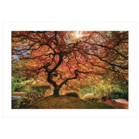 "First Colors of Fall I" by Moises Levy, Ready to Hang Framed Print, White Frame