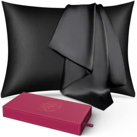Lacette Silk Pillowcase 2 Pack for Hair and Skin, 100% Mulberry Silk, Double-Sided Silk Pillow Cases with Hidden Zipper (Black, Standard Size: 20" x 2