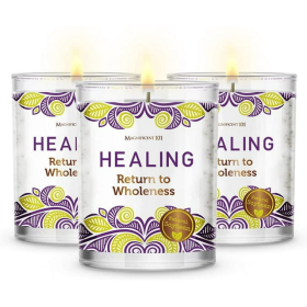 Magnificent 101 Long Lasting Healing Set of 3 Aromatherapy Candles | 3.5 Oz Each - 42 Hour Burn Time | Soy Wax Smudge Candle for Spiritual Meditation