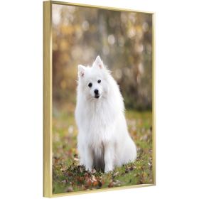 Custom Canvas Prints With Your Photos for Pet Family Photo Prints Personalized Canvas Aluminum Alloy Framed Wall Art (GOLD: 16*24)
