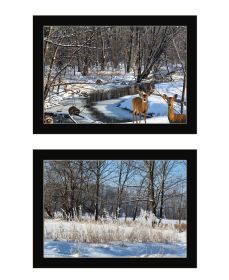 "Great Outdoors-Nature/Winter Forest" 2-Piece Vignette by Trendy Decor 4U, Ready to Hang Framed Print, Black Frame (Color: as Pic)